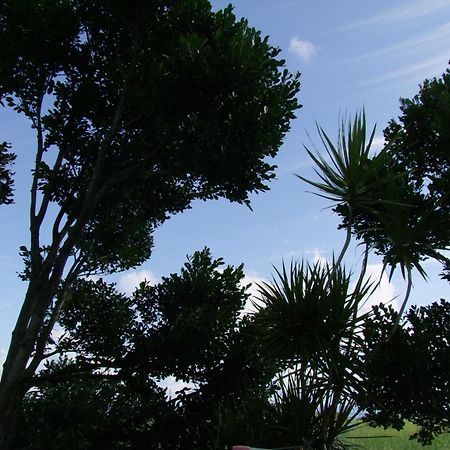 Hoshizunaso Yoron Phòng bức ảnh